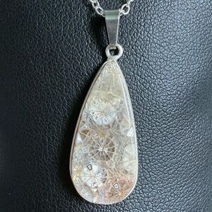 925 Ammonite Fossil Necklace